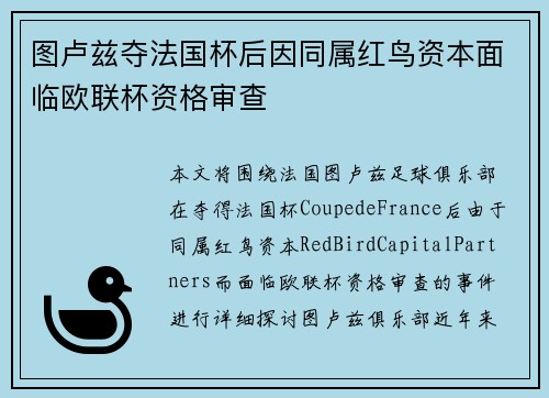 图卢兹夺法国杯后因同属红鸟资本面临欧联杯资格审查 图卢兹夺法国杯后因同属红鸟资本面临欧联杯资格审查