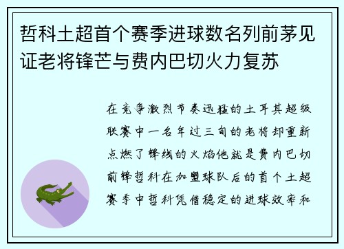哲科土超首个赛季进球数名列前茅见证老将锋芒与费内巴切火力复苏 哲科土超首个赛季进球数名列前茅见证老将锋芒与费内巴切火力复苏