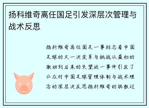 扬科维奇离任国足引发深层次管理与战术反思 扬科维奇离任国足引发深层次管理与战术反思